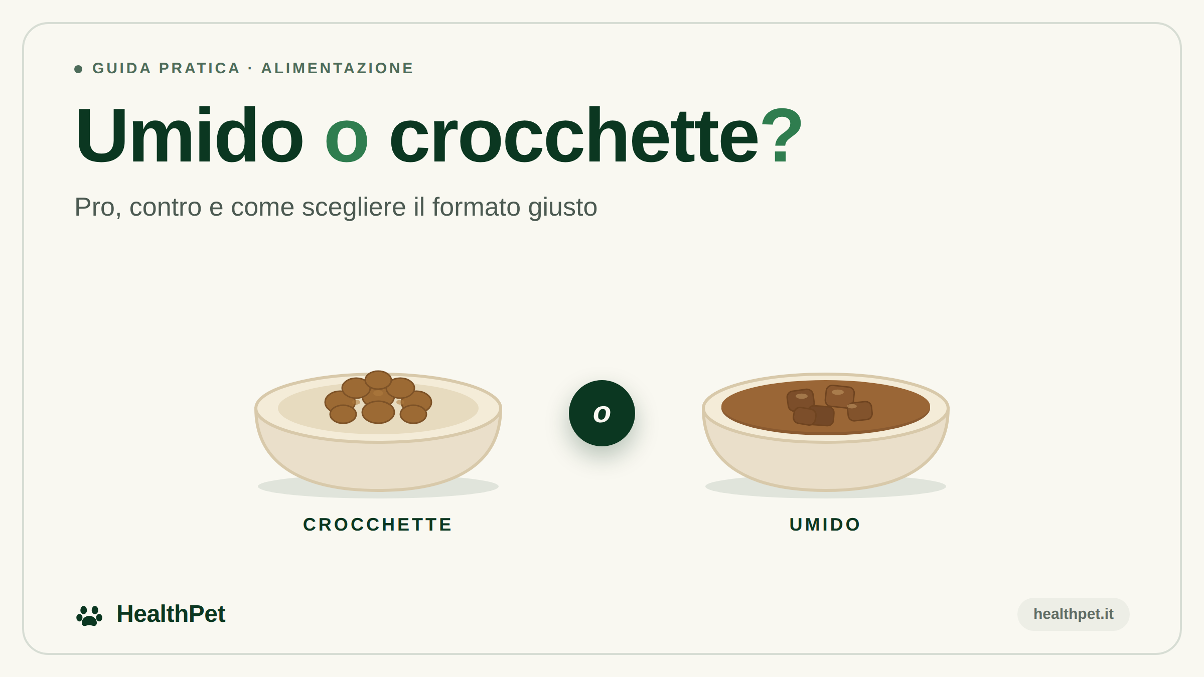 Umido o crocchette? Pro, contro e come scegliere