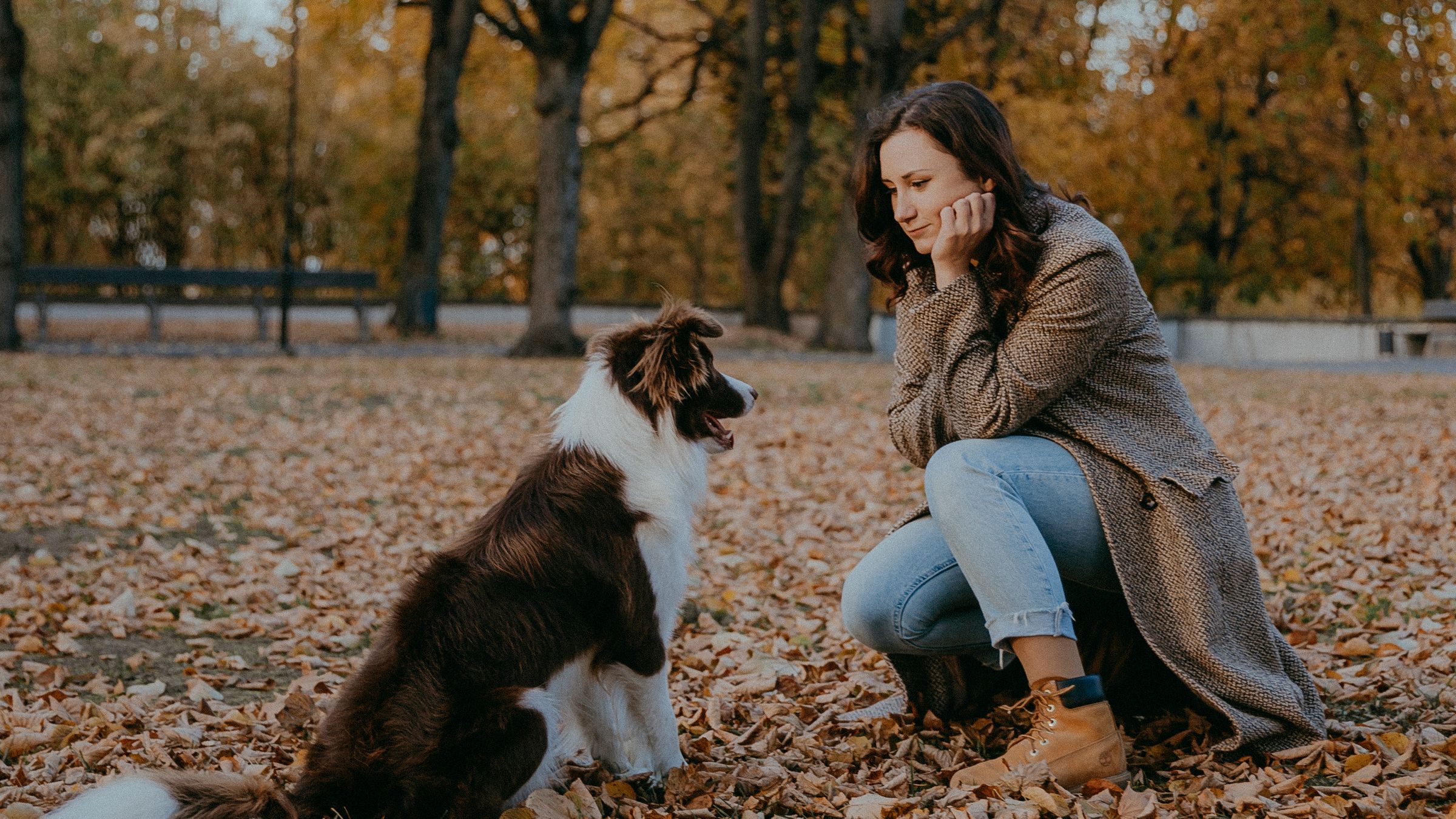 Muta autunnale: cosa cambia davvero nella ciotola del cane e del gatto