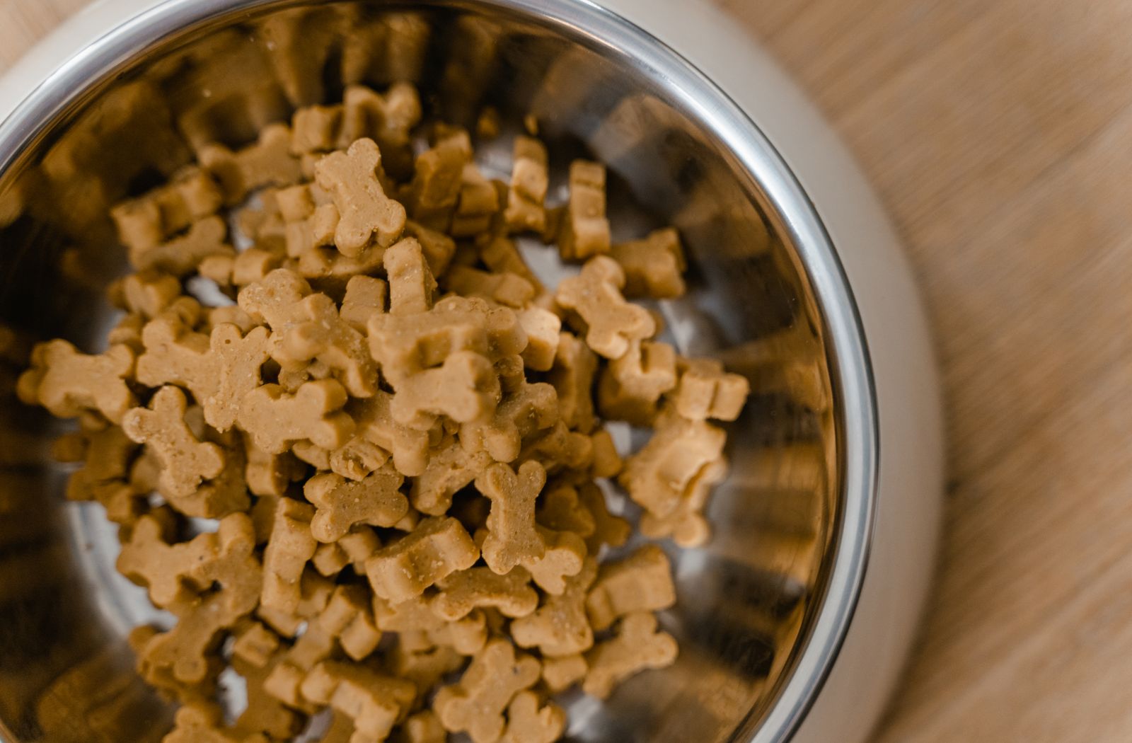 Ciotola di metallo piena di biscotti a forma di osso per cani